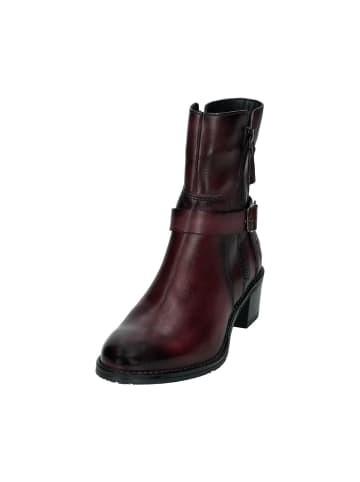 TT. BAGATT Stiefeletten in rot