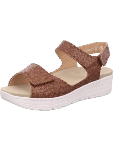 Solidus Sandalen für Damen in braun in braun