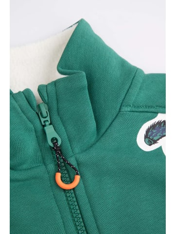 Coccodrillo Reißverschluss-Sweatshirt in grün