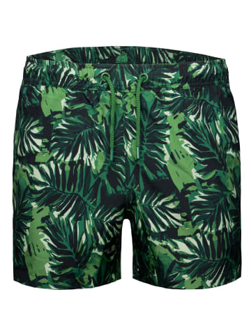 Björn Borg Badeshorts Print in gruen