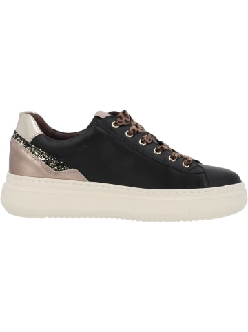 Nero Giardini Schnürschuhe in Schwarz