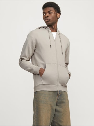 Jack & Jones Kapuzenjacke in Moonbeam