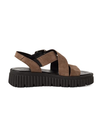 Tamaris Klassische Sandale 1-28705-44 in braun