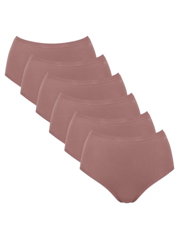 Sloggi Slip 6er Pack in Braun