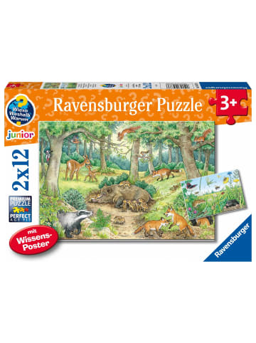 Ravensburger Ravensburger Kinderpuzzle - 05673 Tiere im Wald und auf der Wiese - 2x12...