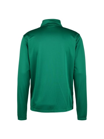 Puma Trainingsjacke TeamRISE Poly in grün / weiß