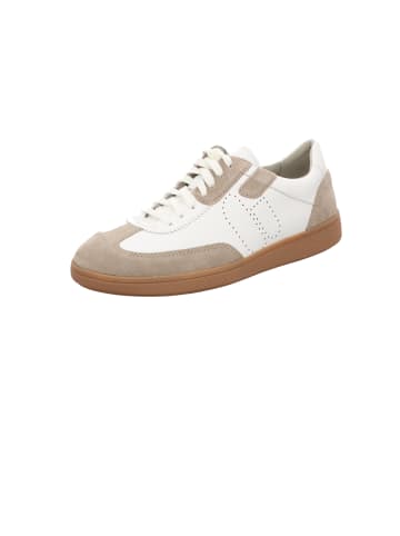 Pius Gabor Schnürschuh in beige