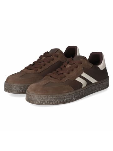 Tamaris Schnürhalbschuh in brown