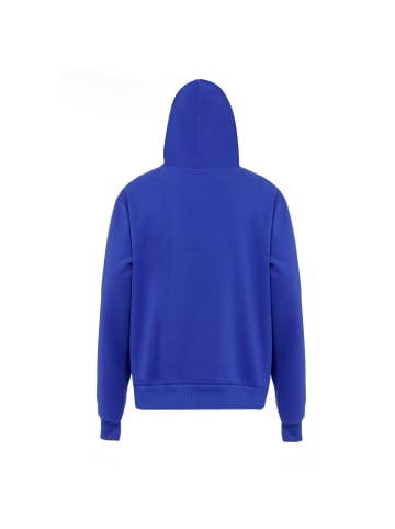 ALEKO Herren Kapuzenjacke in Kobalt