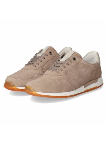 Sioux Schnürhalbschuh in brown