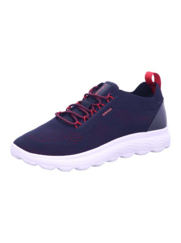 Geox Sneaker in blau