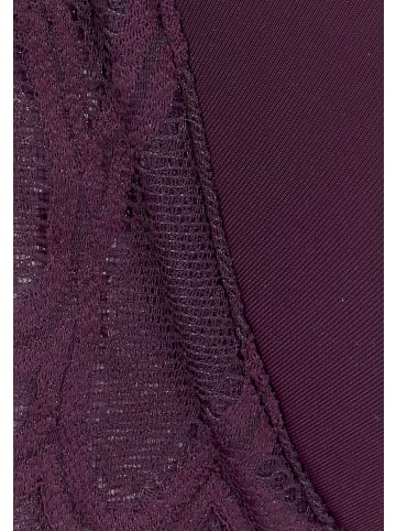 LASCANA Schalen-BH in aubergine