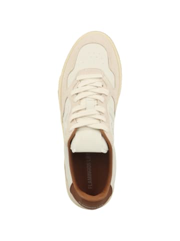 Flamingos Life Sneaker low Ventura in beige