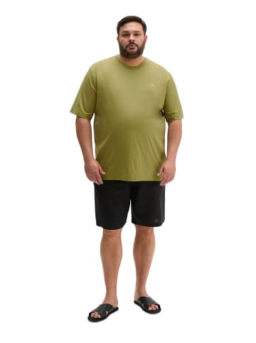 Marc O'Polo T-Shirt regular in Vibrant Fern