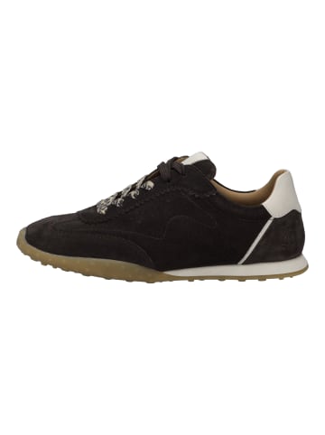Josef Seibel Sneaker Aileen 01 in braun