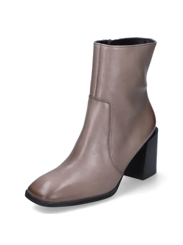 Paul Green Stiefeletten in Taupe