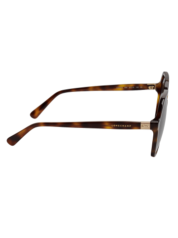 Longchamp Sonnenbrille in Brown
