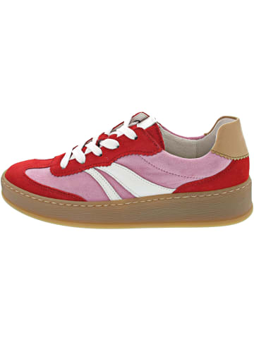Gabor Comfort Sneaker low Rot