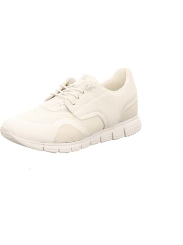 Sioux Sneaker Low in weiß