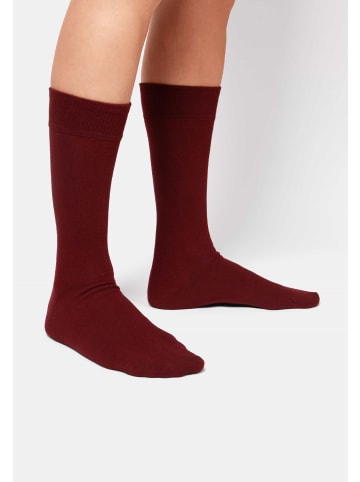 DillySocks 3er-Pack Socken One Color Smooth in Smooth Wine Red