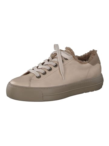 Paul Green Sneaker in Beige