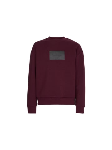 Calvin Klein Sweatshirt in passion plum