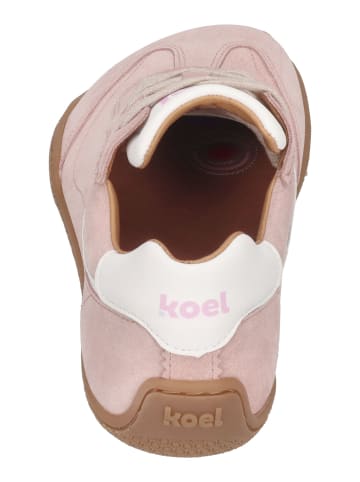 KOEL Sneaker Low VIENNA SUEDE in rosa