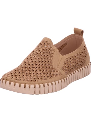 Ilse Jacobsen Slipper in beige