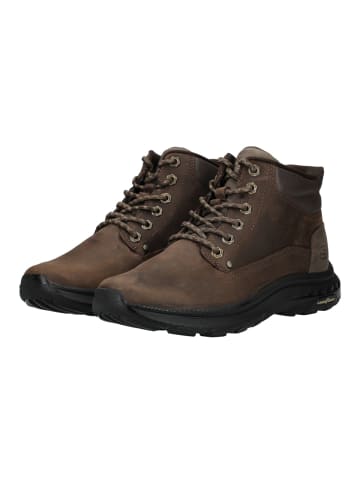 Skechers Stiefelette in Braun