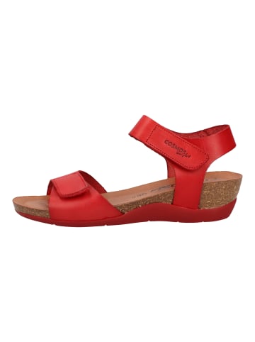 Cosmos Comfort Sandalen in Rot