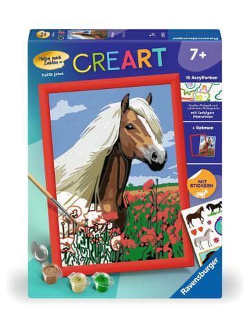 Ravensburger Malprodukte CreArt, Malen nach Zahlen Kinder - Haflinger Malen nach Zahlen Kinder Ab 7 Jahre in bunt