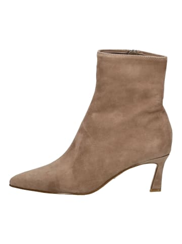 Steve Madden Stiefelette LULAH in Taupe