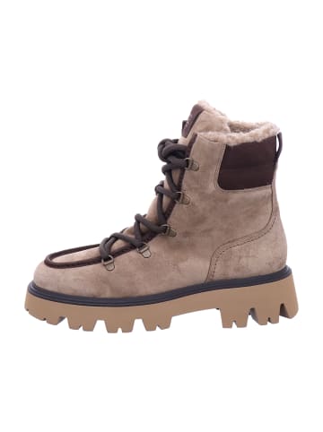 Paul Green Schnürboots in Beige