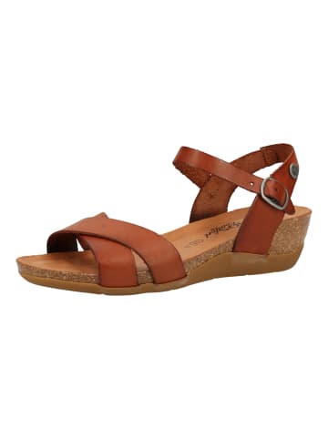 Cosmos Comfort Sandalen in Braun