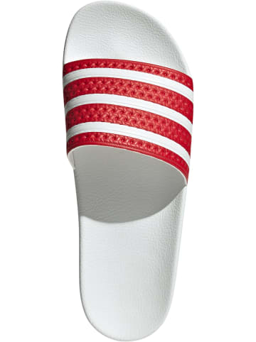 adidas adidas Sandalen in better scarlet/footwear white/footwear white