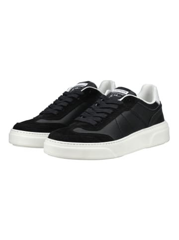 Steve Madden Sneaker Schwarz