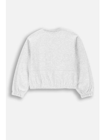Coccodrillo Sweatshirt in grau
