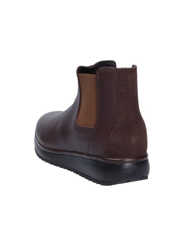 Joya Stiefelette LONDON II DARK BROWN in braun