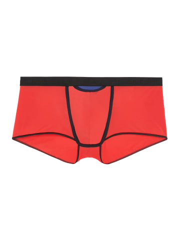 HOM Trunk Plume Up HO1 in Rot