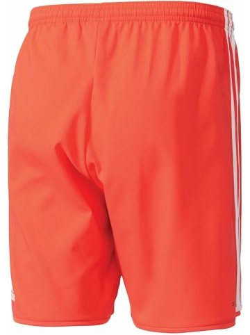 adidas Shorts für Jungen in uni