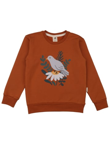 Walkiddy Sweatshirt Unifarbe in Braun