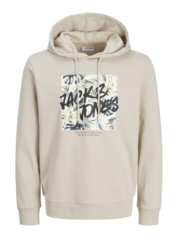 Jack & Jones Kapuzenpullover in Moonbeam