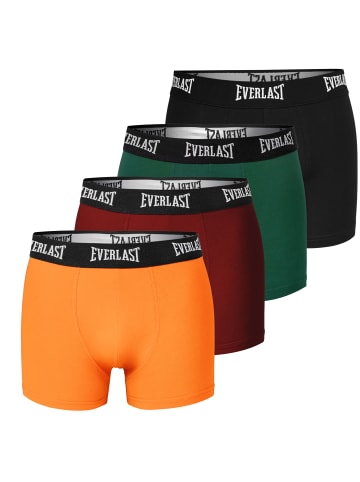 Everlast 4er Set Herren Boxershorts aus Baumwolle in Bunt