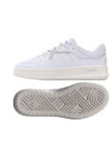 adidas Schnürschuhe COURT 24 in Weiß