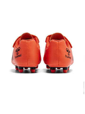 Hummel Hummel Klettverschluss Turf, Soft Ground, Firm Ground Top Star Fußball Kinder in NASTURTIUM