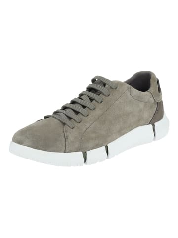 Geox Sneaker in Sage