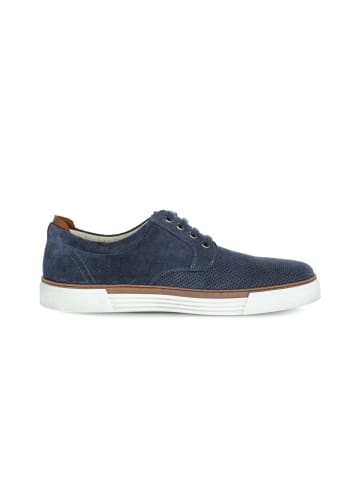Pius Gabor Sneaker low in blau