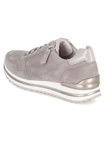 Gabor Lowtop-Sneaker in puder