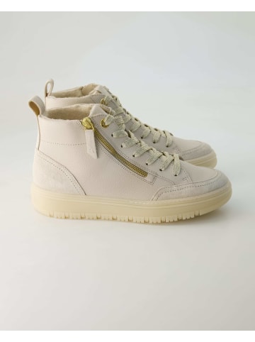 Paul Green Klassische Stiefeletten in Beige