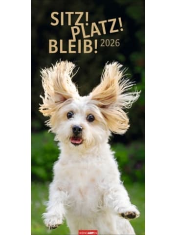 Weingarten Kalender - Sitz! Platz! Bleib! Kalender 2026